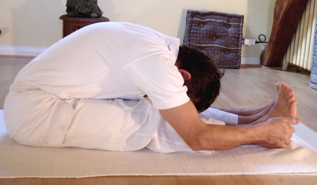 Paschimottanasana pose