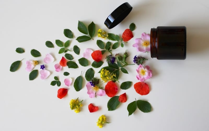 Why Women Choose Natural and Organic Beauty Products