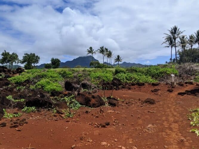 visist kauai