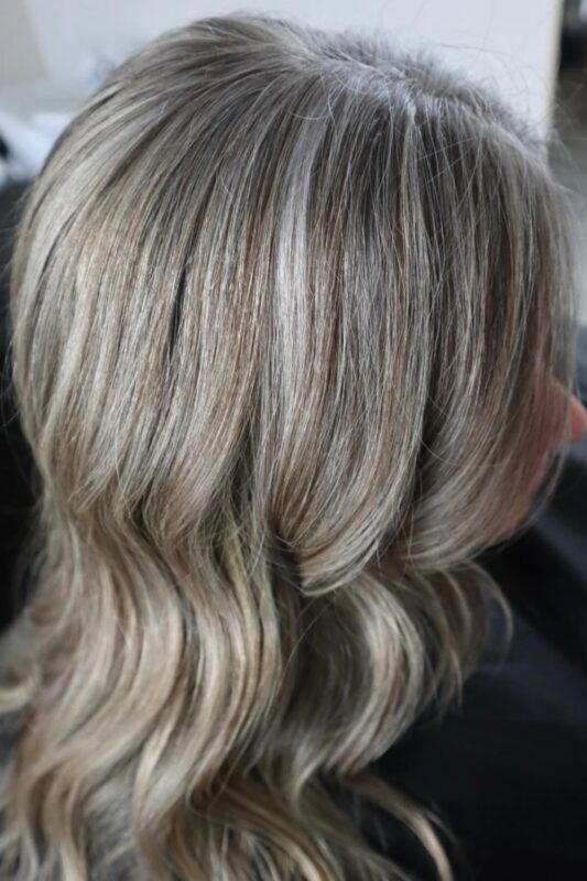 Brown hair with brown lowlights and icy silver highlights for gray blending.