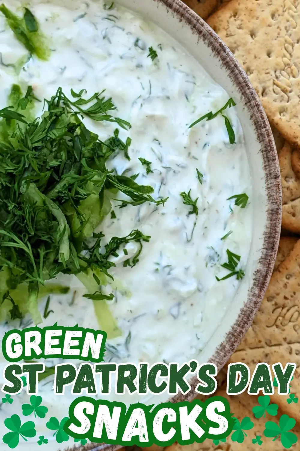 Homemade Tzatziki Sauce - authentic Greek yogurt dip made with grated cucumber, fresh mint, fresh parsley, a bit of olive oil, and freshly pressed garlic.
