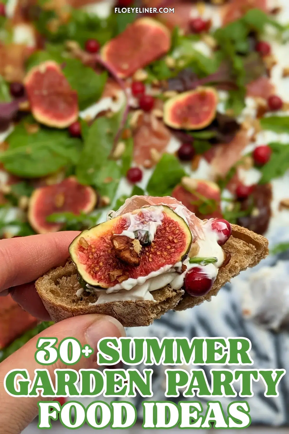 Fig and Goat Cheese Appetizer